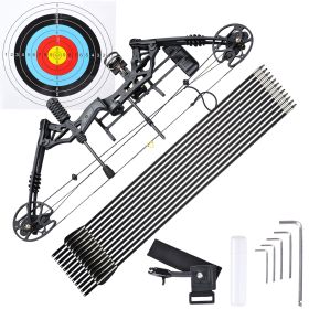 COMPOUND BOW (Color: Black)